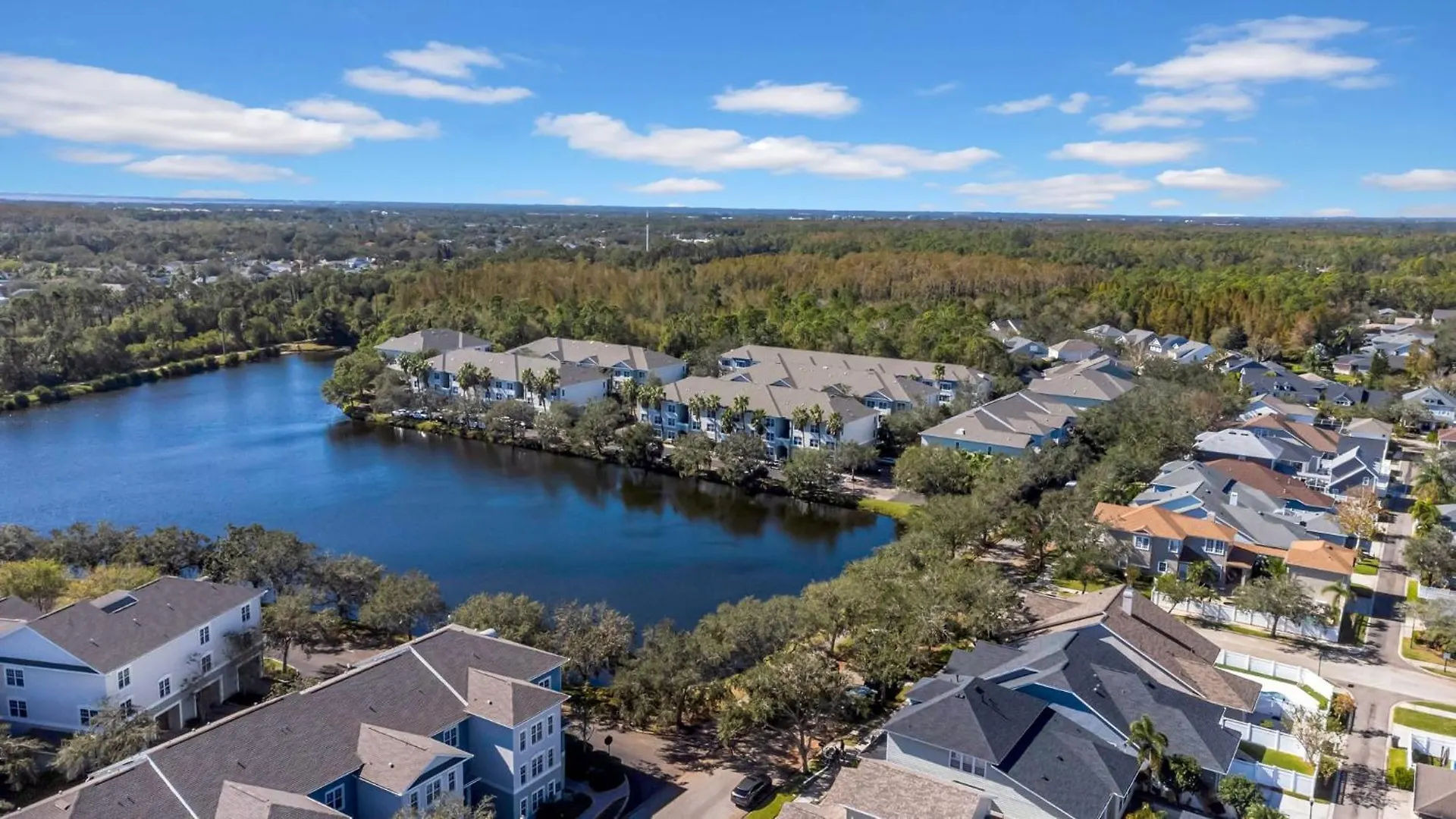 タンパParis 2Br2Ba Minute To Airport & Westchase #9アパートメント 米国